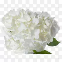 �������л�-������