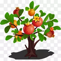 石榴树夹艺术石榴-空若网 石榴树夹艺术石榴-空若网