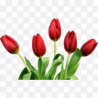 �����㻨������-������-������