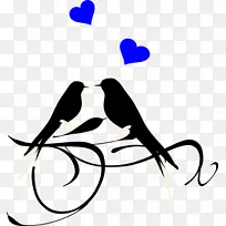 爱情鸟婚礼邀请函剪贴画-小鸟-空若网 爱情鸟婚礼邀请函剪贴画-小鸟-空若网
