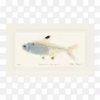 ���ද��-������