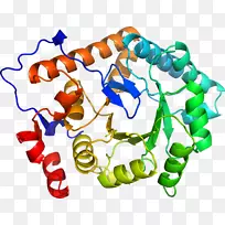 人体首饰有机体线剪贴画线-空若网 人体首饰有机体线剪贴画线-空若网