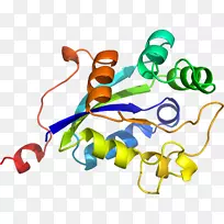 �����鱦������.���-������