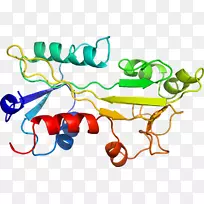 �ߵ������������-������