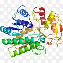 人体首饰有机体线剪贴画线-空若网 人体首饰有机体线剪贴画线-空若网