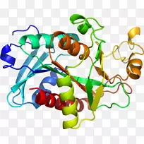 蔬菜茎线夹艺术-蔬菜-空若网 蔬菜茎线夹艺术-蔬菜-空若网