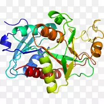 蔬菜有机体系列剪贴画-蔬菜-空若网 蔬菜有机体系列剪贴画-蔬菜-空若网