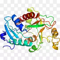生物线动物剪贴画线-空若网 生物线动物剪贴画线-空若网