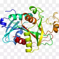 蔬菜有机体剪贴画-蔬菜-空若网 蔬菜有机体剪贴画-蔬菜-空若网