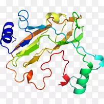 ������Ϊ�л����ߵ��������-������