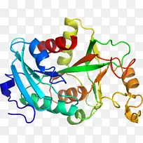 人体首饰有机体线剪贴画线-空若网 人体首饰有机体线剪贴画线-空若网