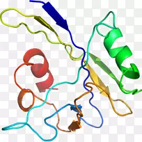 线点生物剪贴画线-空若网 线点生物剪贴画线-空若网