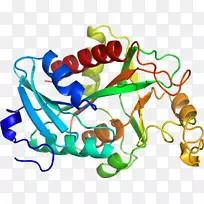 人体首饰有机体线剪贴画线-空若网 人体首饰有机体线剪贴画线-空若网