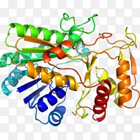 �߲˾��߼�����-�߲�-������