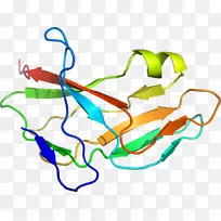 �ߵ������-��-������