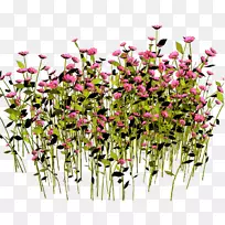 花卉设计-空若网 花卉设计-空若网