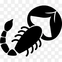 Ы������ռ����.Ы��-������