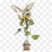 ���͸���ڼ�����-������