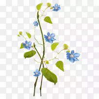 ���ͻ��ռǼ�����-������