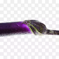 茄子蔬菜滴.加水滴的茄子-空若网 茄子蔬菜滴.加水滴的茄子-空若网