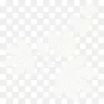 �����Ҷ�Ҿ����켰�����Ʒ��ֽ-������