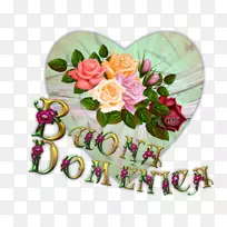 ������Ӱ��ͼ.����-������