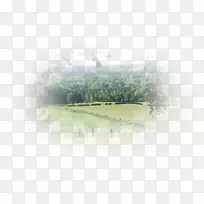 土地地段雾树天空不动产树-空若网 土地地段雾树天空不动产树-空若网