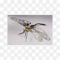 ���������µ���������-����-������