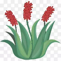 «������ɫ«����-������