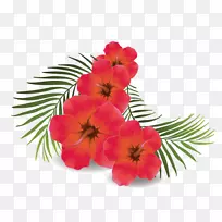 Ь��ֲ��ͼ-��Ҷܽ��-������