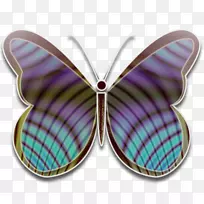 蝴蝶电脑图标-蝴蝶-空若网 蝴蝶电脑图标-蝴蝶-空若网