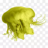 水母博客电子邮件-空若网 水母博客电子邮件-空若网