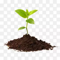 成功的秘诀:真正成功的人做什么,你如何做得太好。-空若网 成功的秘诀:真正成功的人做什么,你如何做得太好。-空若网