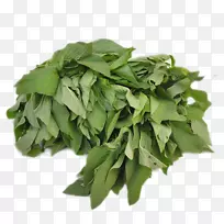 罗勒菠菜有机食品蔬菜-空若网 罗勒菠菜有机食品蔬菜-空若网