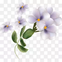 ���������-��-������