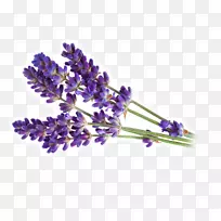 Ó¢¹úÞ¹Ò²ÝÓÍѬÏã¼ôÌù»-¿ÕÈôÍø Ó¢¹úÞ¹Ò²ÝÓÍѬÏã¼ôÌù»-¿ÕÈôÍø