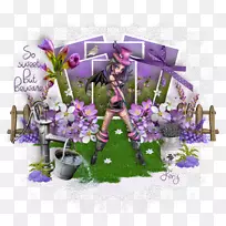 ��Ĥ޹�²ݿ���ֲ��-ֲ��-������