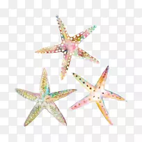 Ë®²Ê»º£ÐDzåͼ.º£ÐÇ-¿ÕÈôÍø Ë®²Ê»º£ÐDzåͼ.º£ÐÇ-¿ÕÈôÍø