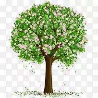 树木艺术剪贴画-空若网 树木艺术剪贴画-空若网
