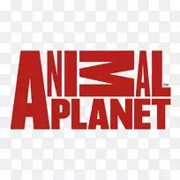 �����������Ƶ������Ƶ����־��ѧ-��ѧ-������