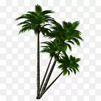 ���ͺ���-��-������