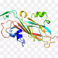 �ߵ������������-������