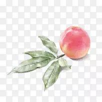 Ë®²Ê»ÌÒÌÒ-¿ÕÈôÍø Ë®²Ê»ÌÒÌÒ-¿ÕÈôÍø