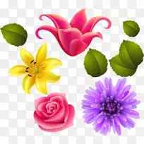 数码影像剪贴画-花-空若网 数码影像剪贴画-花-空若网