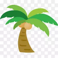 槟榔科椰子树-椰子-空若网 槟榔科椰子树-椰子-空若网