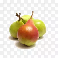 ŷ��-������