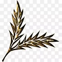 摄影剪贴画-叶-空若网 摄影剪贴画-叶-空若网