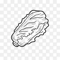 生菜叶蔬菜叶莴苣剪贴画-蔬菜-空若网 生菜叶蔬菜叶莴苣剪贴画-蔬菜-空若网