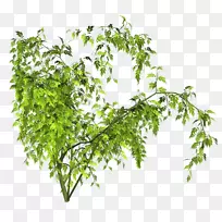 动画剪贴画-动画-空若网 动画剪贴画-动画-空若网