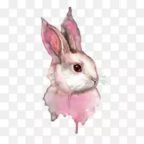 水彩画艺术兔画-空若网 水彩画艺术兔画-空若网